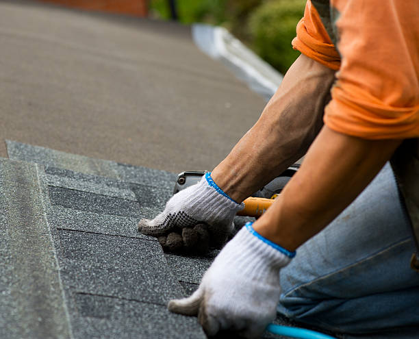 Professional Roofing Contractor in Dillon, CO